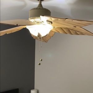 Ceiling fan